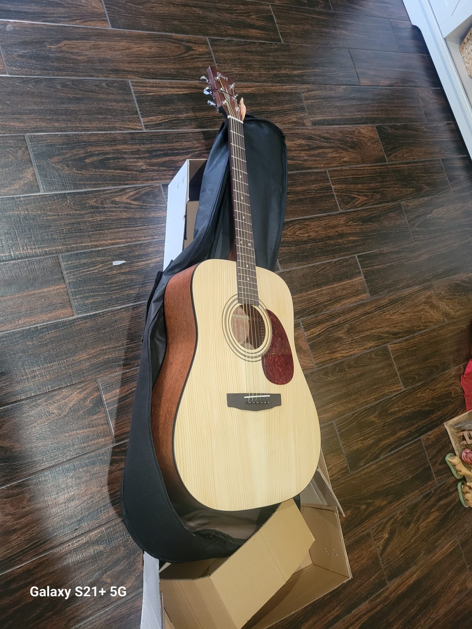 Cort Guitar New