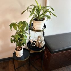 3 Tier Swivel Plant Stand