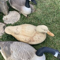 Floating Goose Storm Front decoys
