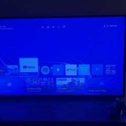 55” Or 60in Oled Lg
