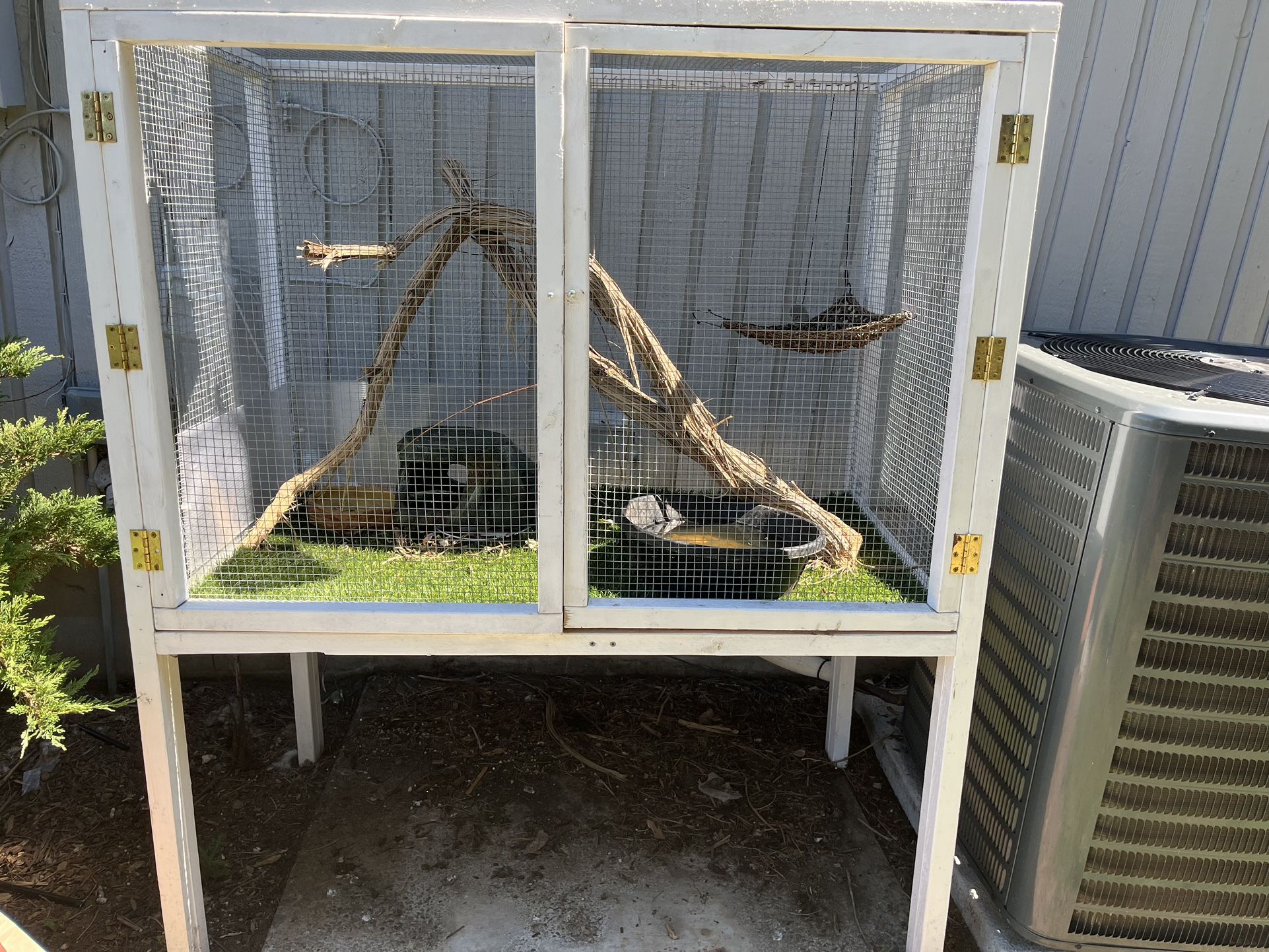 Iguana Cage
