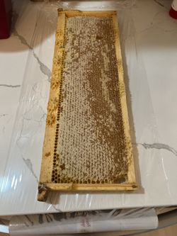 Miel En Penca 🐝