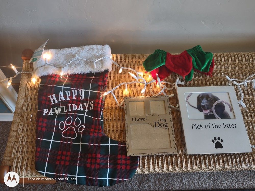 Christmas Gifts For Your Dog! Stocking, 2 Frames, Small Velvet Christmas Collar