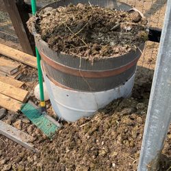 Free Horse Manure 