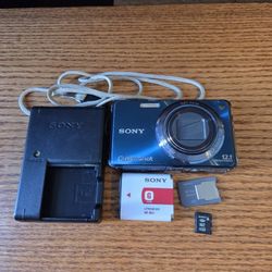 Sony Cybershot 12.1 Mega Pixels Digital Camera DSC-W290 Battery, Charger, Memory