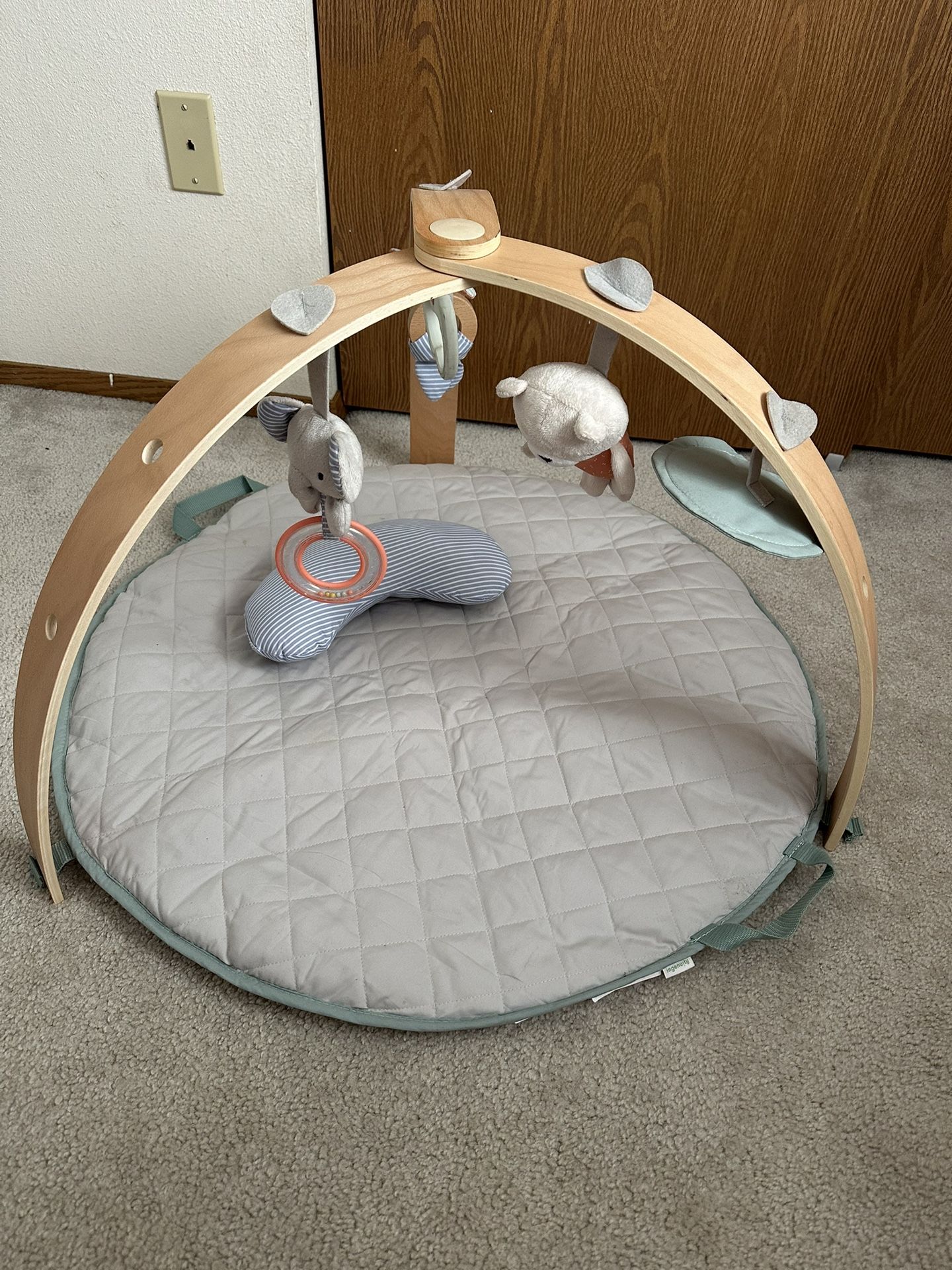 Ingenuity Playmat