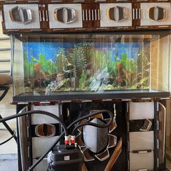 40 Gallons Fish Tank And Pumd