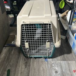 Dog Crate