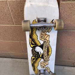 Patineta 🛹