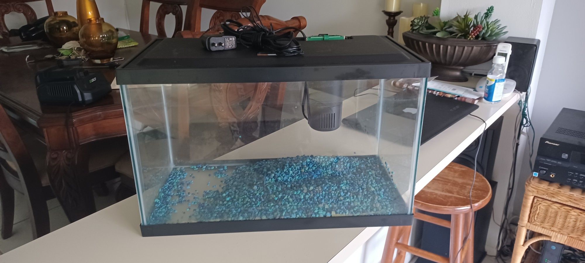 10 gallon fish tank with lights and filter and lid