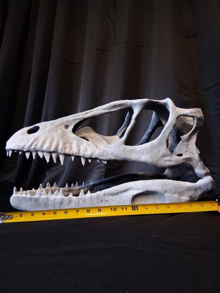 3d Raptor Skull