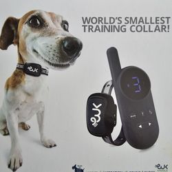 Dog Collar