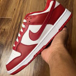 DS Nike Dunk Low “Gym Red/Usc”