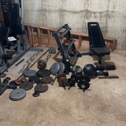 All types of weights, weight rack, and bench/bars