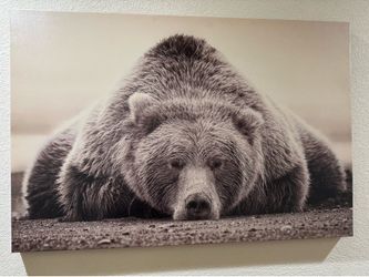 Large Bear Canvas Wall Art
