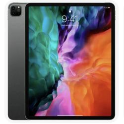 iPad Pro 4th Generation 256G