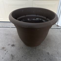 Flower Pot 