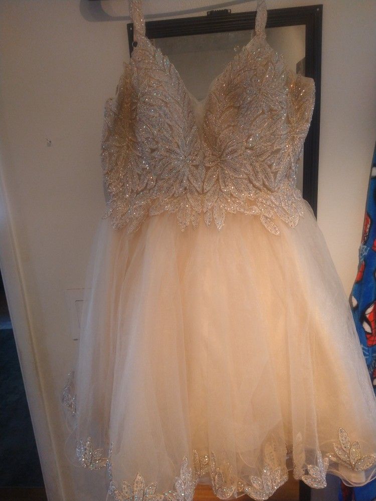 Hoco/Prom/Quince Dress