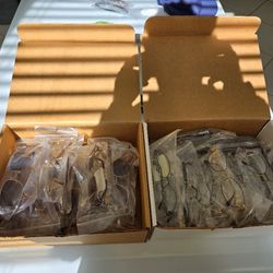 Cazal And Caviar Eyeglasses Sunglasses New Lots Different Model, Color, Sizes Italy Germany Made