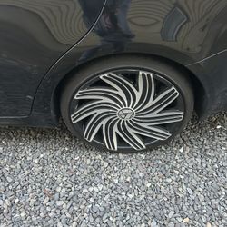 Universal 18-22 Not Sure 