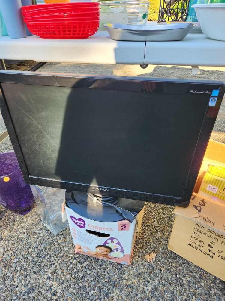 Envision Professional Series 22" Monitor