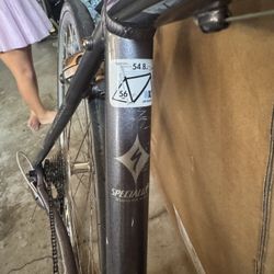 Specialized Road Bike 