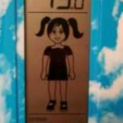 DIGITAL WIND AND WEATHER STATION