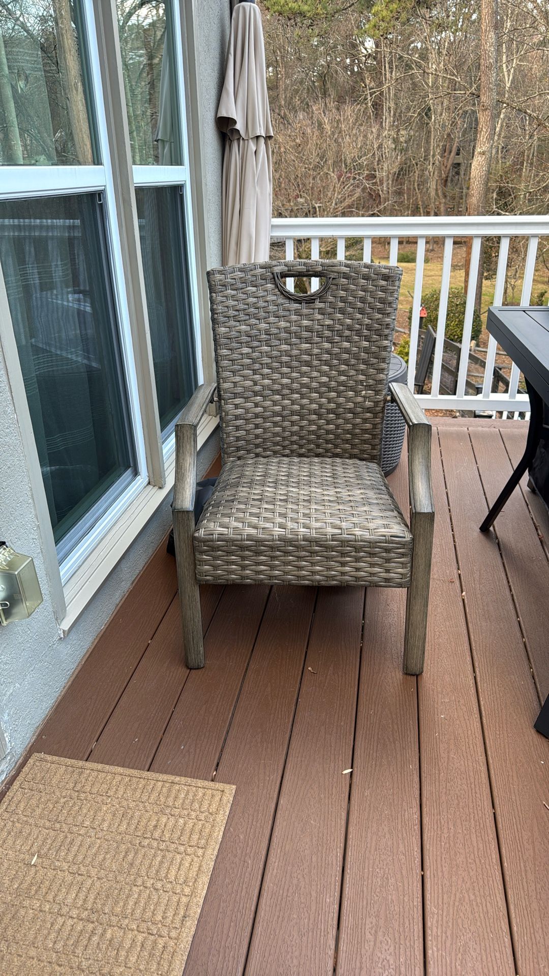 Allen + Roth Wicker Chairs