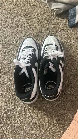 Nike 10.5 low rise dunks