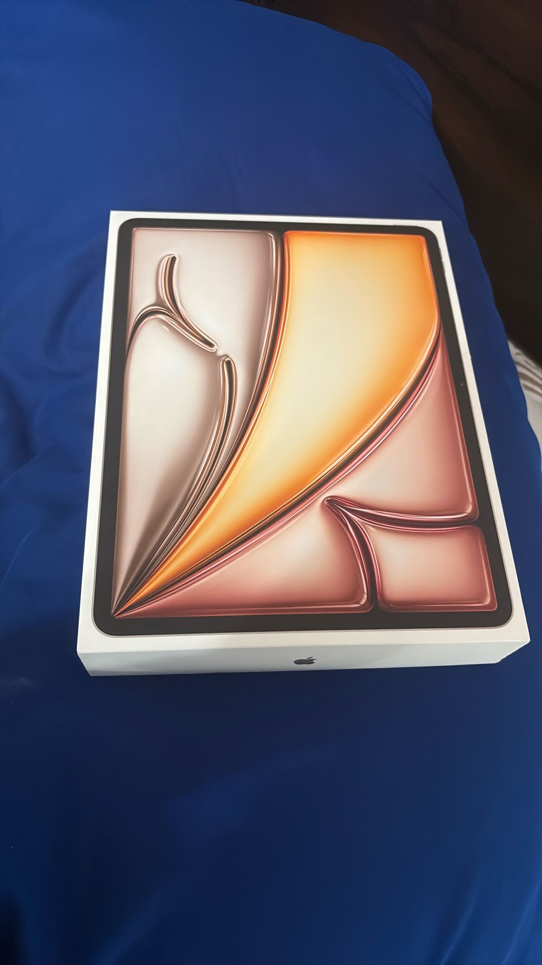 Ipad Air 13 Inch (M3) Wi-Fi + Cellular (256GB)