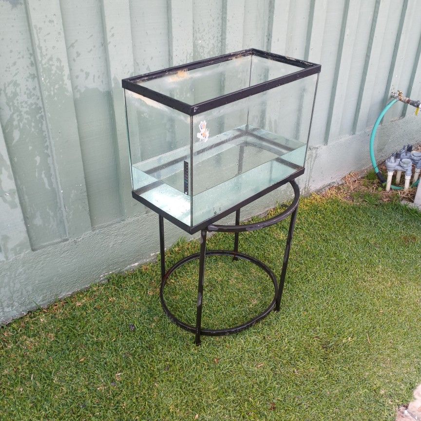 Tectangular Small Fish Tank
