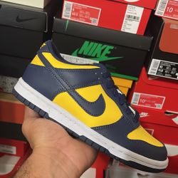 Nike Dunk Low Michigan State