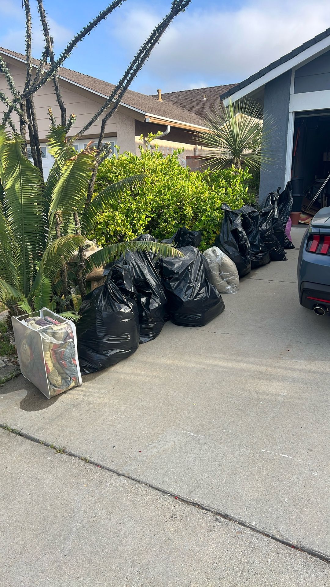 FREE Clothes Shoes And Bags