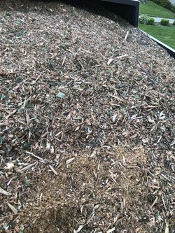 Tree mulch