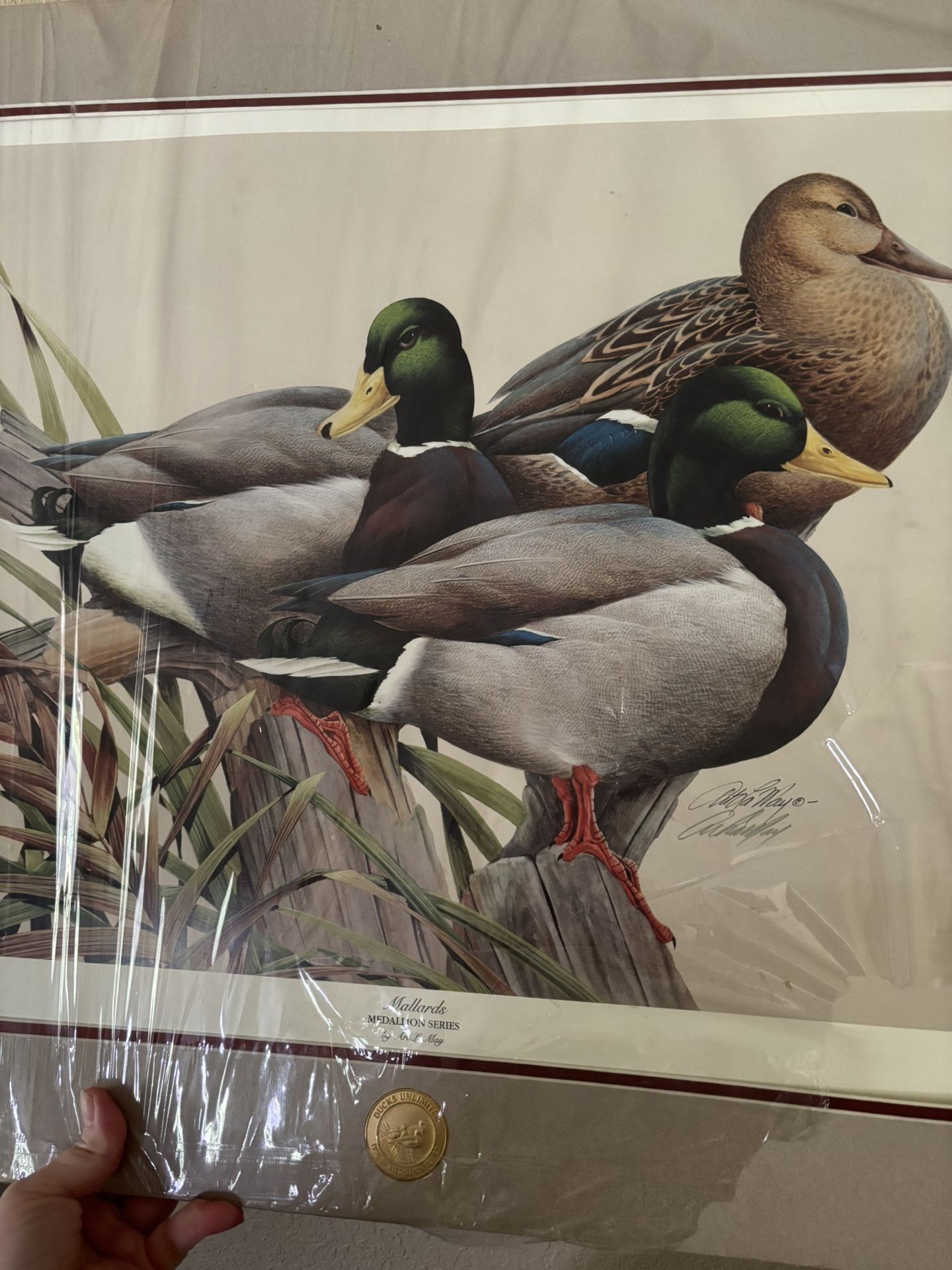 Ducks Unlimited Painting ‘96/‘97 Medallion Series