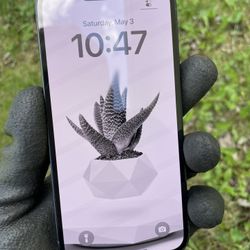 Unlocked iPhone 13  256 GB