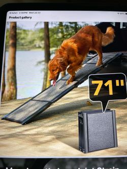 Dog Ramp