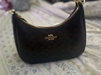 Coach Teri Hobo