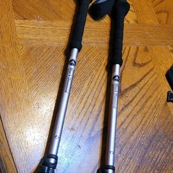 Black Diamond Syncro Elliptic Hiking Poles