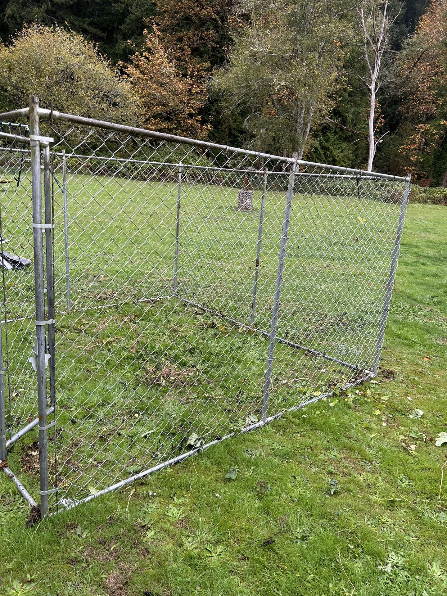 Chain Link Kennel