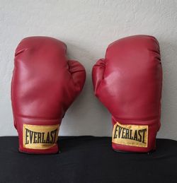 Everlast Boxing Gloves