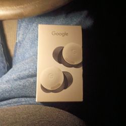 Google Earbuds