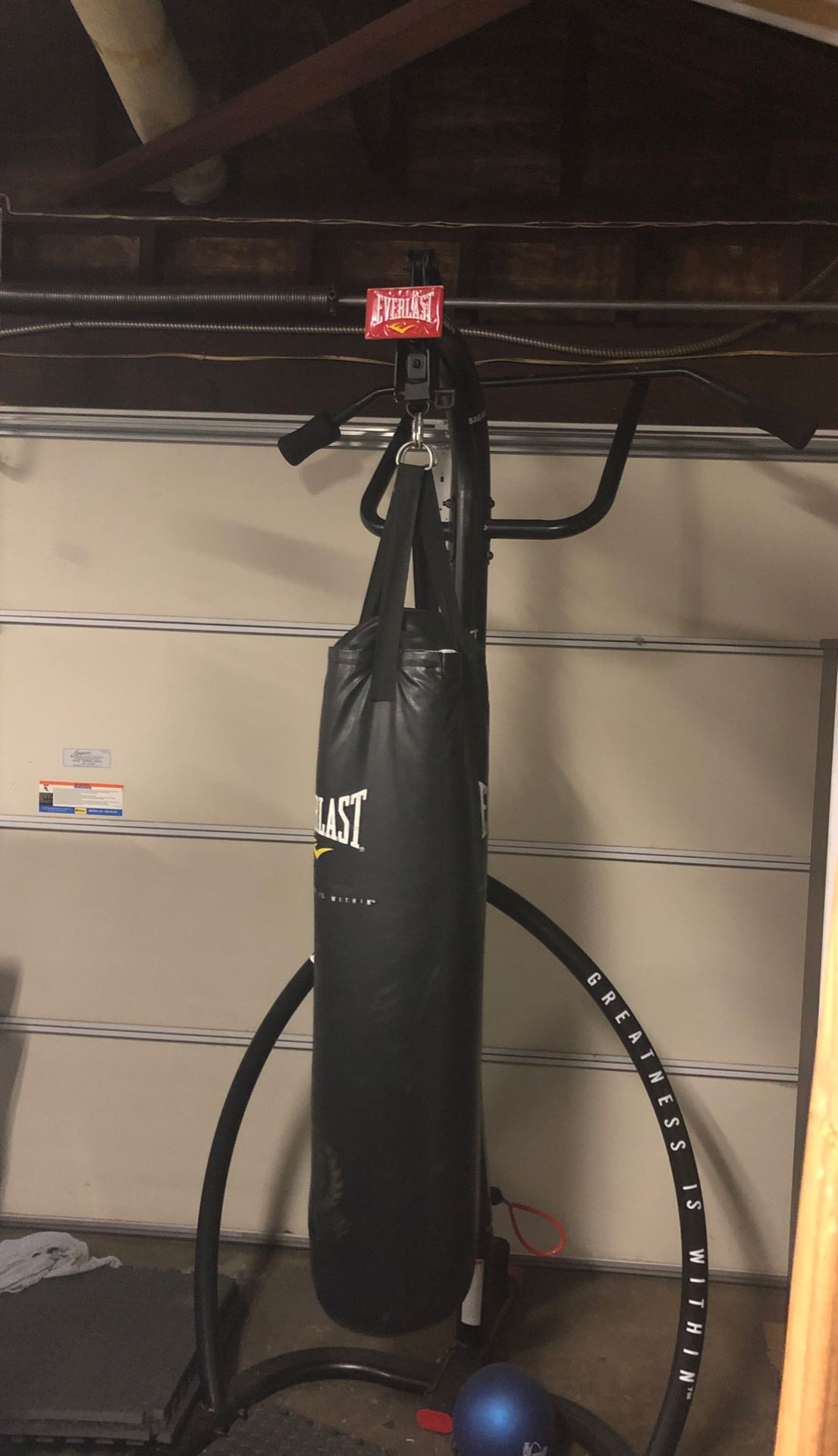 Everlast 100 lb punching Bag with Stand and pull-up bar