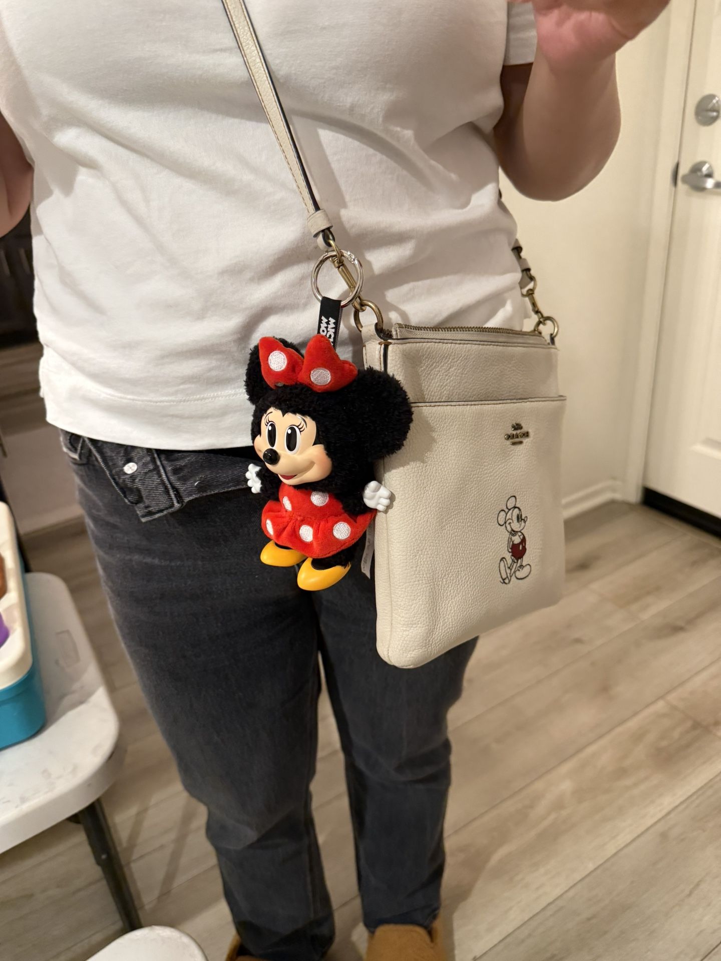 C23 Pokeball Tin