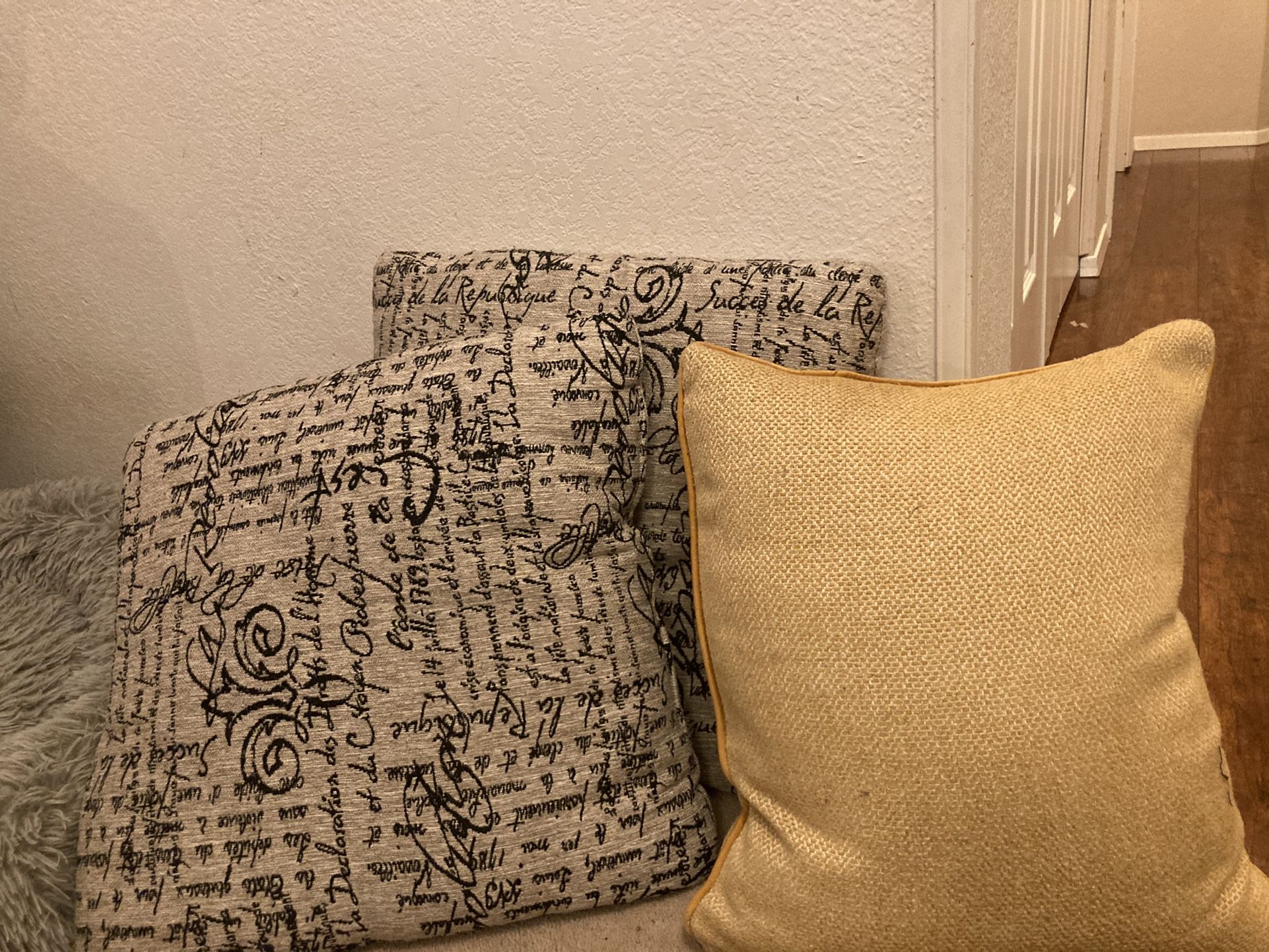 3 Throw Pillows 