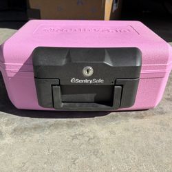 Sentry, Locking Safe
