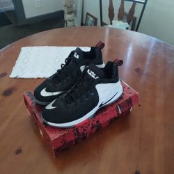 Nike Air Zoom Lebron James Witnesses 