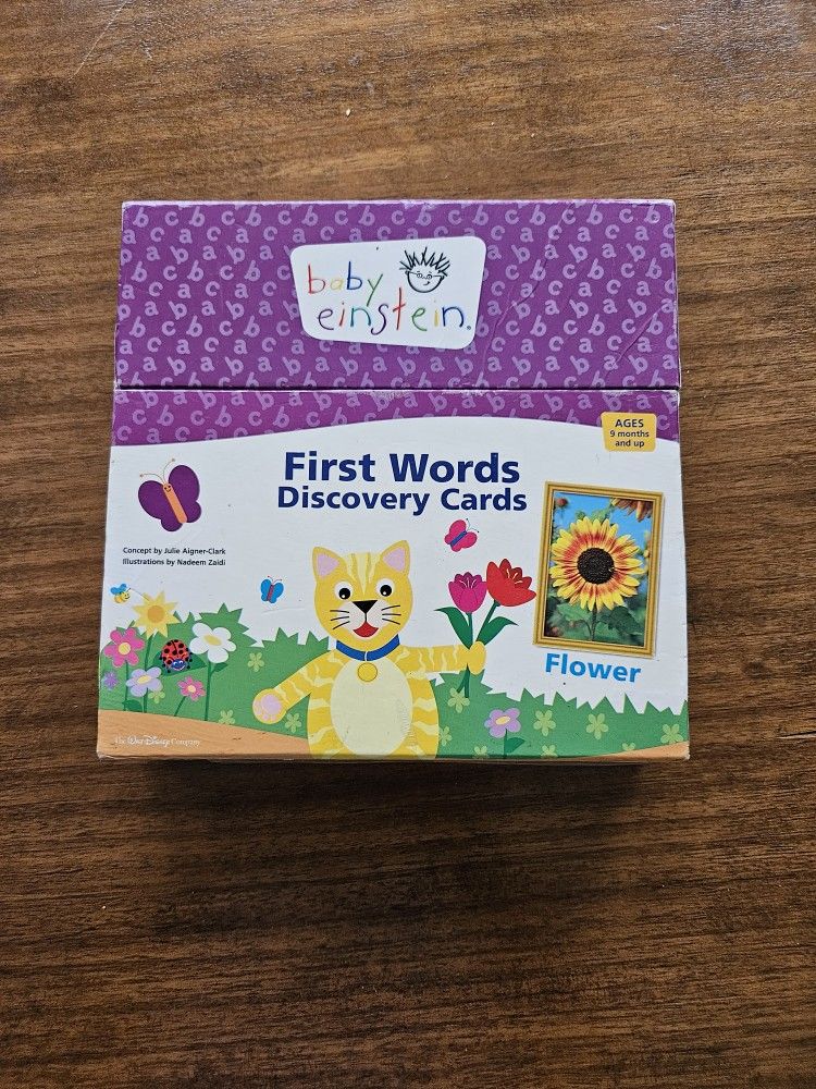 Baby Einstein First Words Discovery Cards