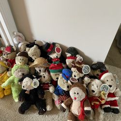 19 Starbucks bear lot
