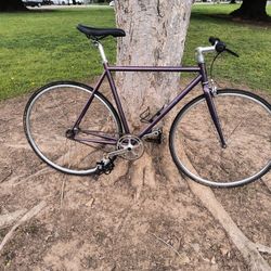 55cm State Fixed Gear Bike 